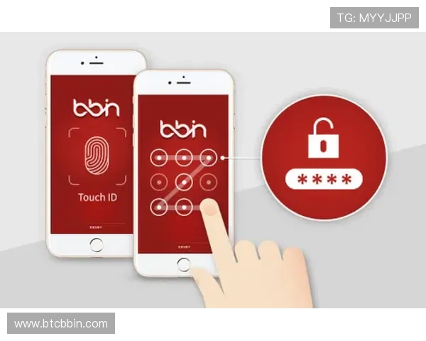 bbin官方app常见问题与解决方案详解帮助用户排除使用中的各种困扰