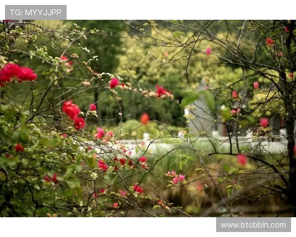 十三水网页版安全稳定运行,保障玩家个人信息和资金安全的优质游戏平台 十三水网页版安全稳定运行,保障玩家个人信息和资金安全的优质游戏平台
