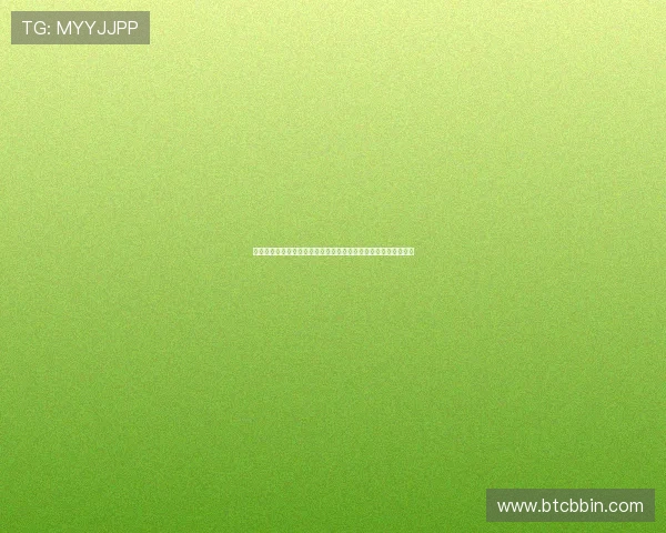世界杯厄瓜多尔对阵库拉索比赛停赛情况全面分析与最新动态报道